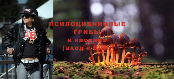 МДМА Абаза