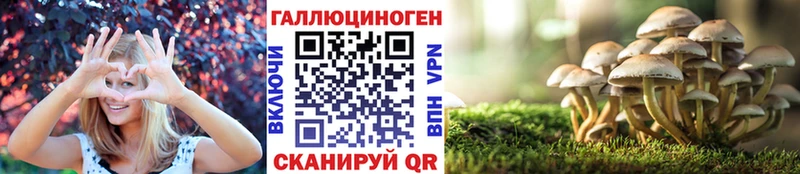 наркошоп  Владикавказ  Псилоцибиновые грибы прущие грибы 